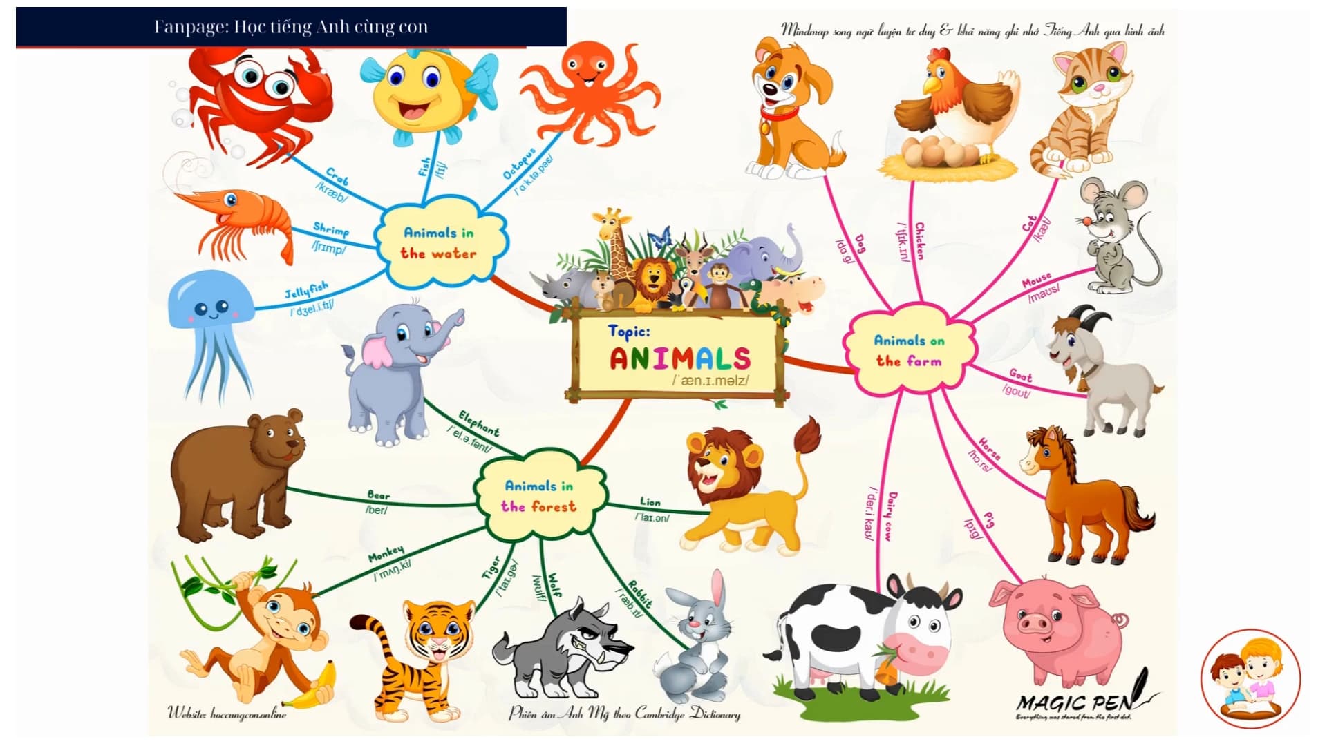 Topic: Animals (Động vật)