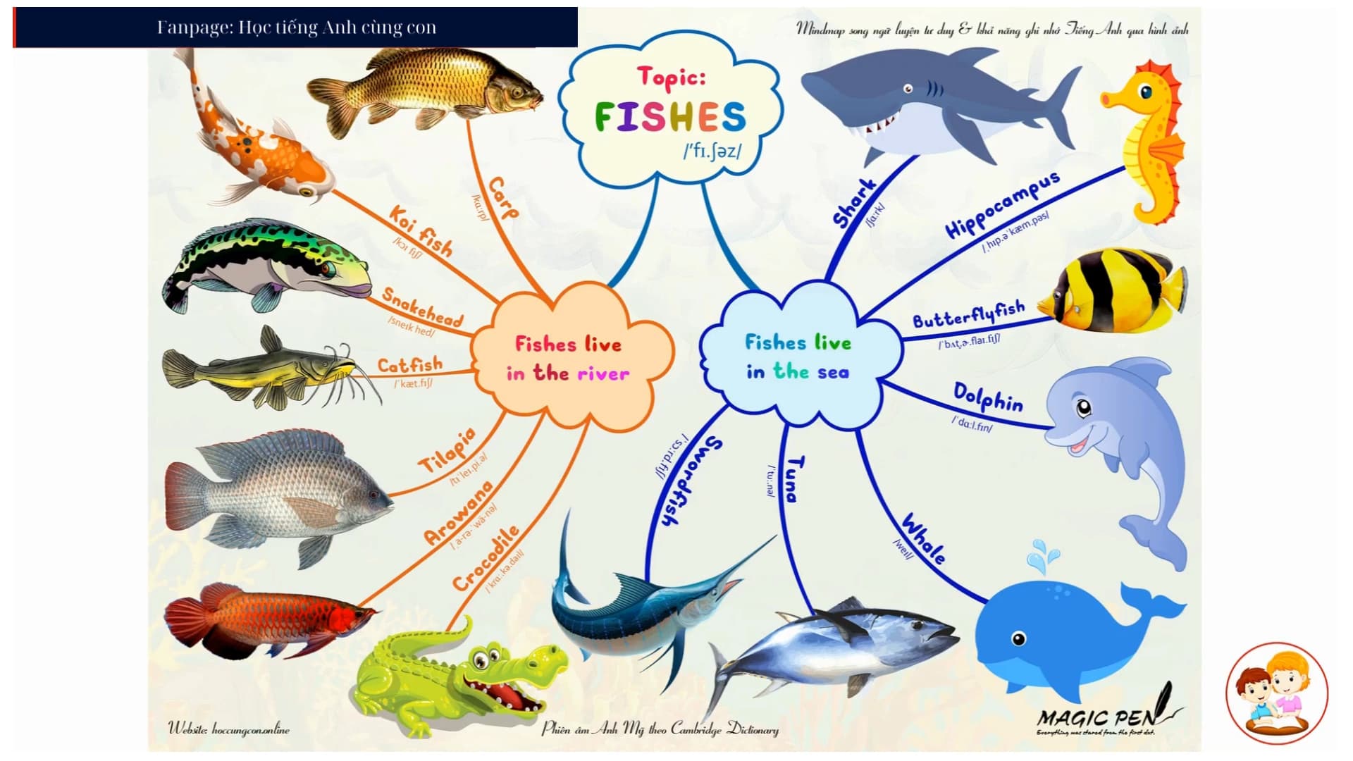 Topic: Fishes (Các loài cá)