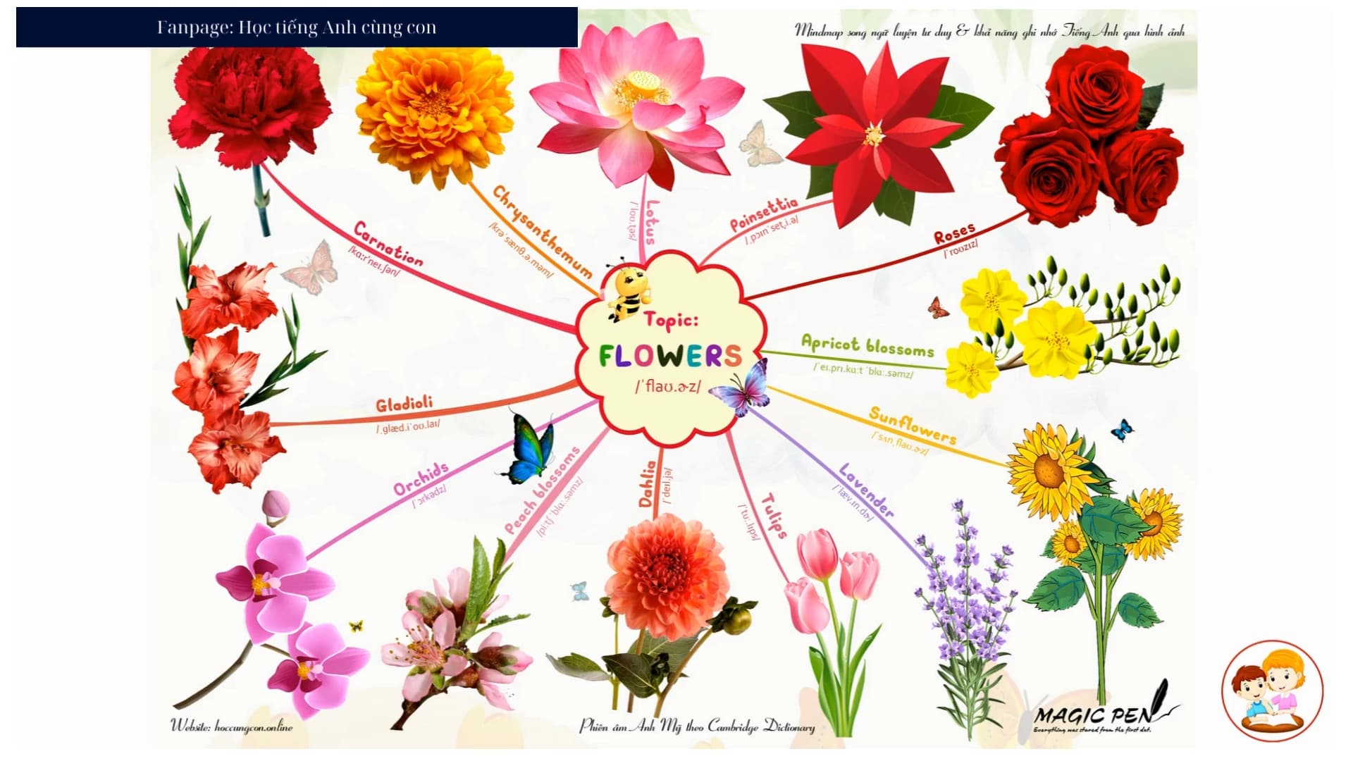 Topic: Flowers (Các loài hoa)